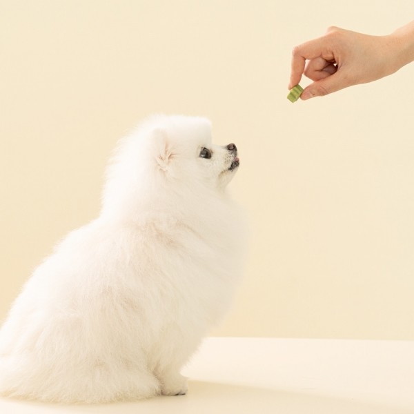 페오펫몰,펫테일 럽앤힐 강아지 수제 간식 비건 바이츠 야채 과일 저알러지 간식