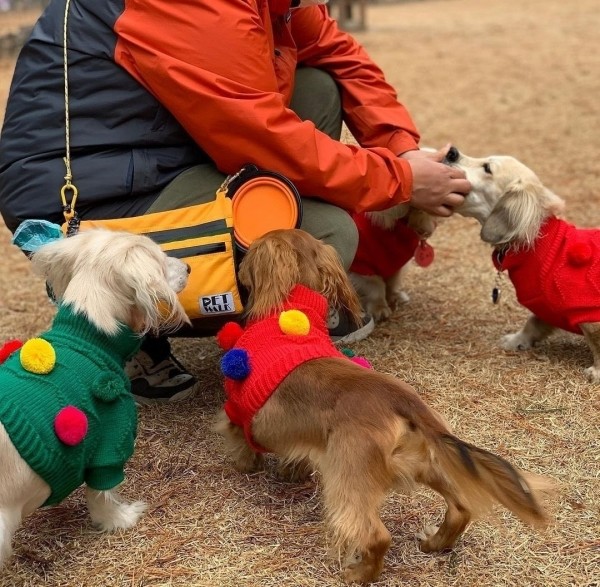 페오펫몰,가벼운 동네산책을 위한 가방 원마일 데일리 워크백