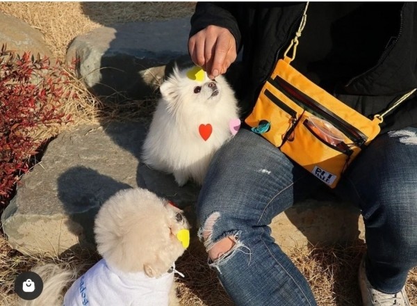 페오펫몰,가벼운 동네산책을 위한 가방 원마일 데일리 워크백