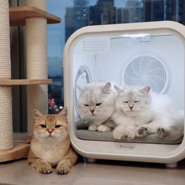 페오펫몰,홈런펫 펫 드라이룸