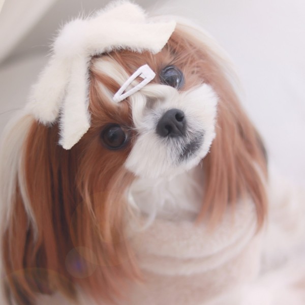 페오펫몰,[마망독] 빅밍크 핸드메이드 리본핀 5color