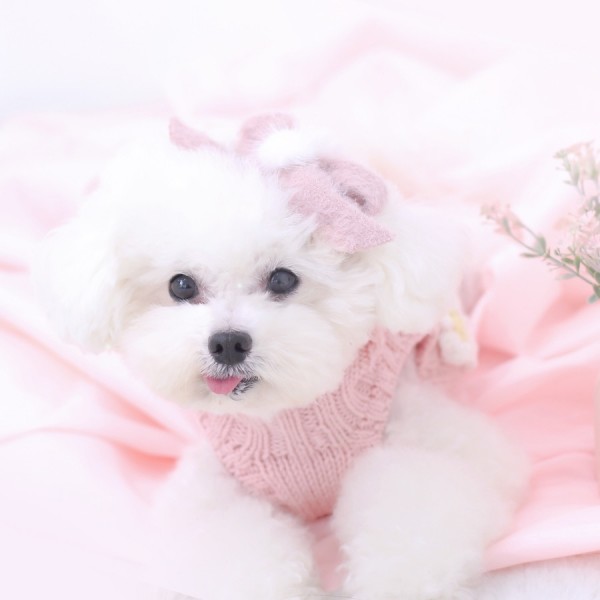 페오펫몰,[마망독] 빅밍크 핸드메이드 리본핀 5color