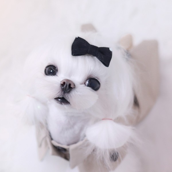 페오펫몰,[마망독] 에이미코듀로이 핸드메이드 리본핀 7color