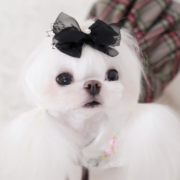 페오펫몰,[마망독] 오데트 핸드메이드 리본핀 2color