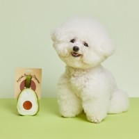 펫토리아 강아지 풉백 파우치 아보카도
