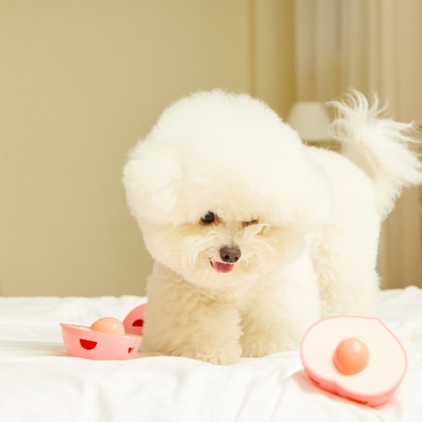 페오펫몰,펫토리아 강아지 노즈워크 장난감 복숭아