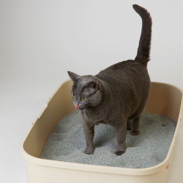페오펫몰,한삽뚝딱 벤토나이트 고양이모래 18.14kg 무향