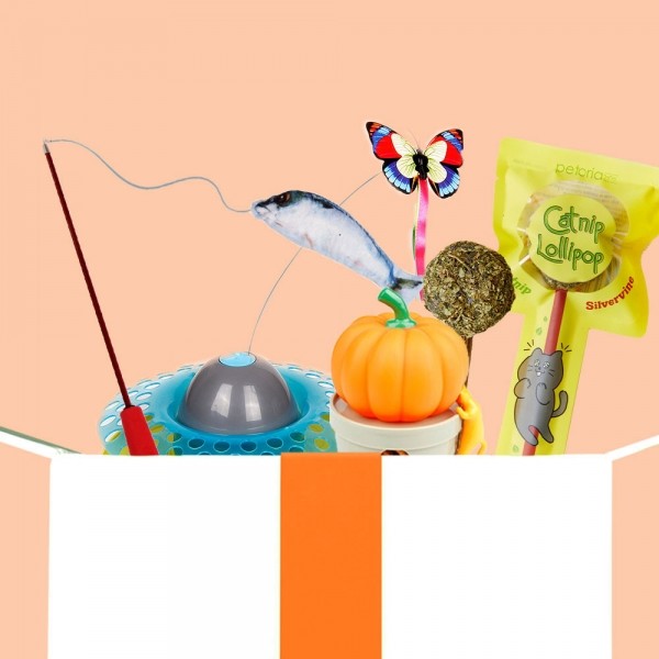 페오펫몰,펫토리아 냥이 장난감 종합 세트