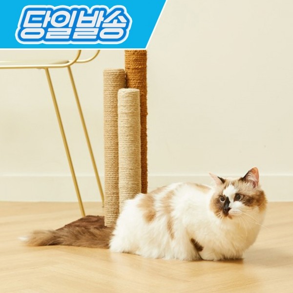 페오펫몰,펫토리아 한층뚝딱 3-포스트 고양이 스크래쳐 캣타워 브라운