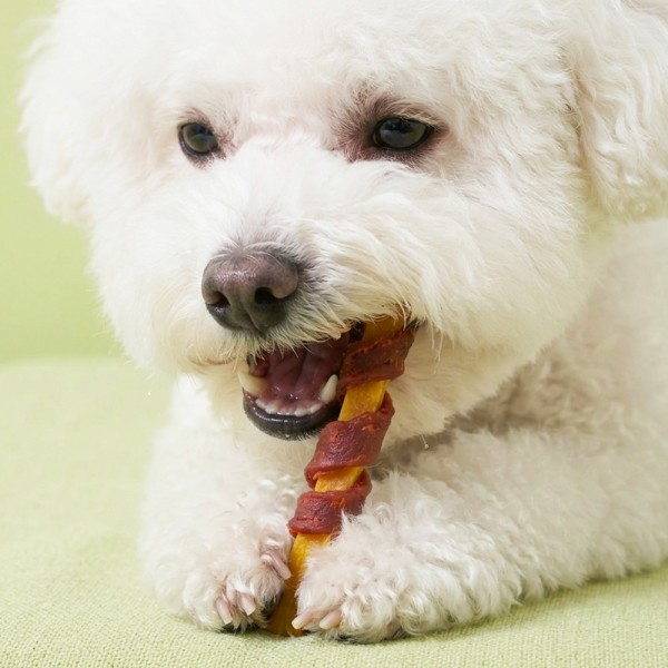 페오펫몰,펫토리아 한입뚝딱 강아지 고구마 말이 스틱 100g (6개입)