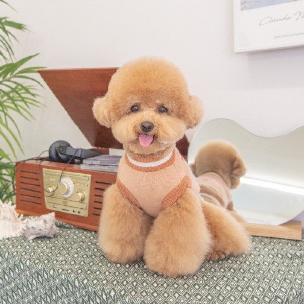 페오펫몰,[봄산책특가]올치 강아지 옷 헬로 베베 니트