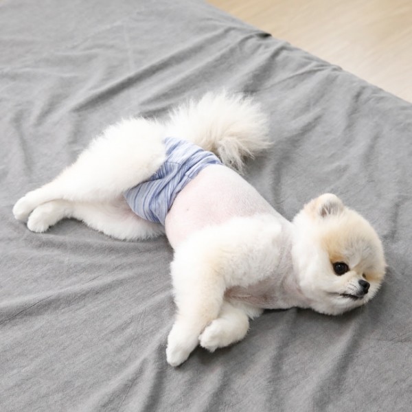 페오펫몰,퍼피아 강아지 옷 카멜리아 탱크탑