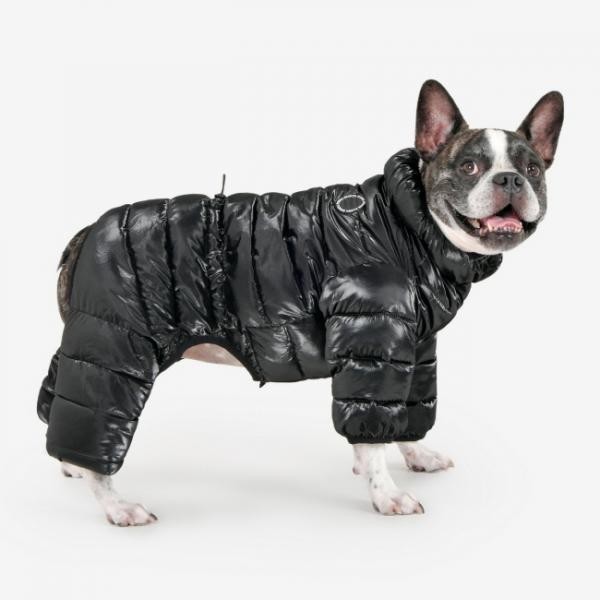 페오펫몰,퍼피아 글로시 올인원 점퍼(JP2069)