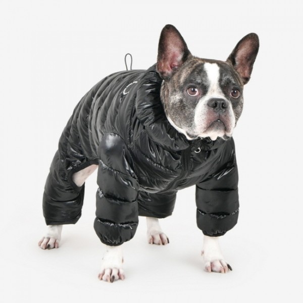 페오펫몰,퍼피아 글로시 올인원 점퍼(JP2069)