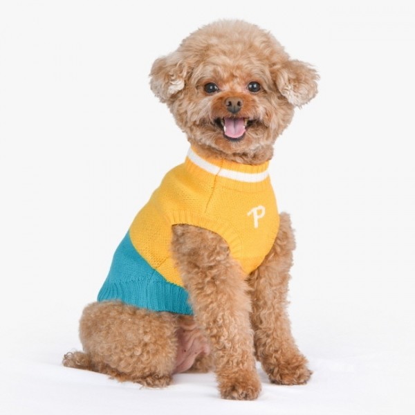 페오펫몰,[무럭무럭특가]퍼피아 프렌치 불독 니트(TS2055)