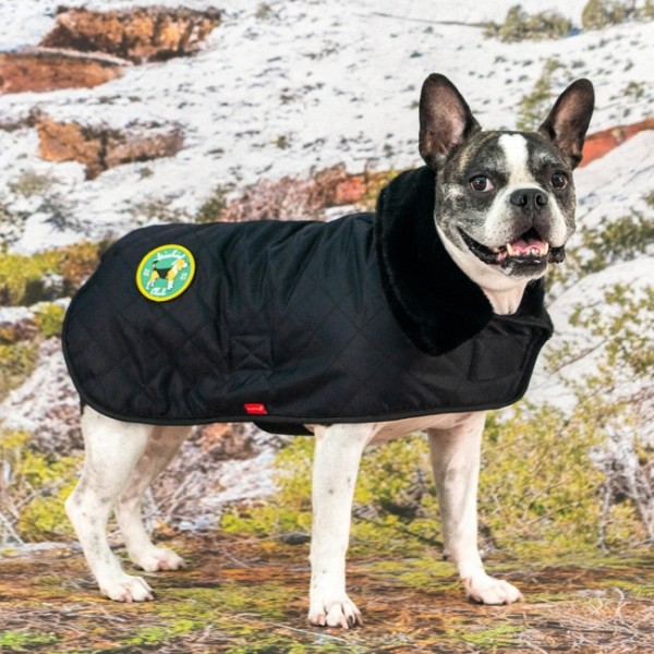 페오펫몰,#신상특가 퍼피아 방수 클래식 헌팅코트 하이랜드 퀼티드 코트 2종