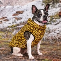 #신상특가 퍼피아 와일드 푸퍼 경량 하네스 일체형 패딩 조끼 2종