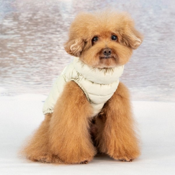 페오펫몰,#신상특가 퍼피아 가볍고 따뜻한 하네스 일체형 코튼 캔디 경량 패딩 조끼 2종