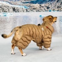 #신상특가 퍼피아 가볍고 따뜻한 퀼팅 후드 웨이비 푸퍼 올인원 패딩