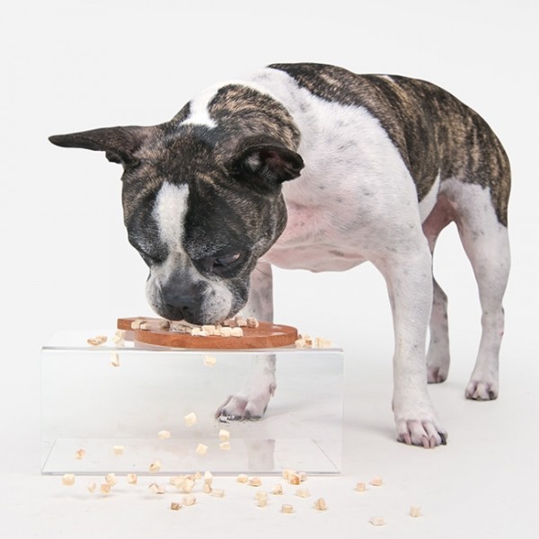 페오펫몰,올치 한입에 딱! 포켓 쏙 미니트릿 북어 30g