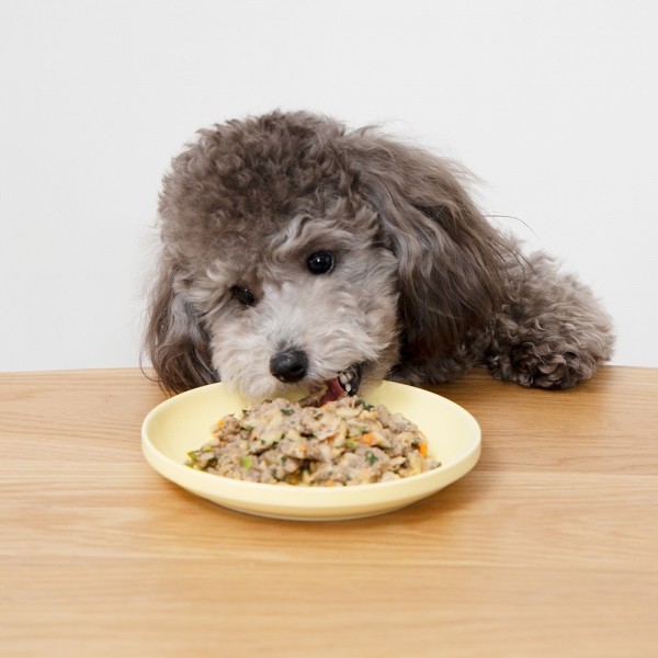 페오펫몰,씽크라이크펫 강아지 화식 자연식 수제 사료 50g 8팩