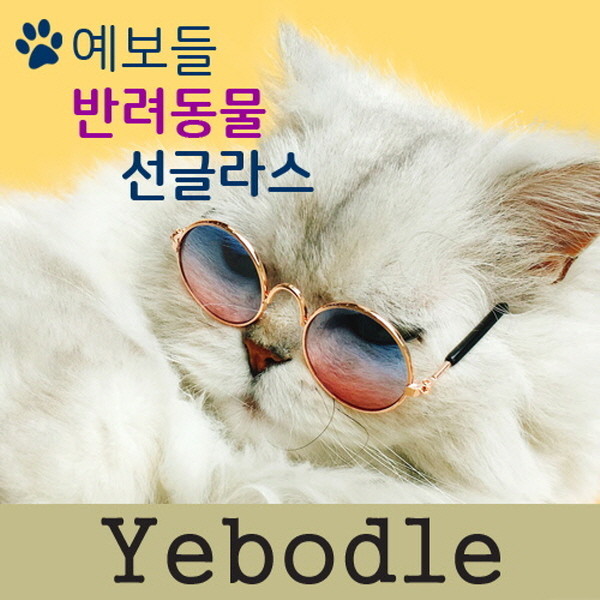 [댕냥데이특가] 예보들 강아지 고양이 악세사리 고양이안경 강아지안경 고글 패션용품