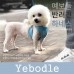 썸네일(스크롤)