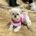 썸네일(스크롤)