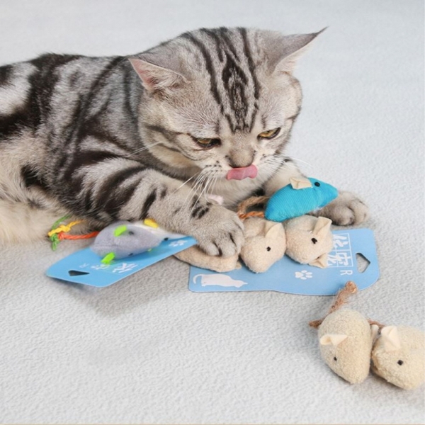 페오펫몰,예보들 아기고양이장난감 새끼고양이 쥐