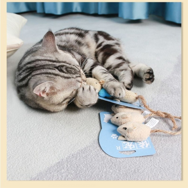페오펫몰,예보들 아기고양이장난감 새끼고양이 쥐