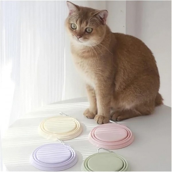 페오펫몰,예보들 접이식 강아지 물병 물통