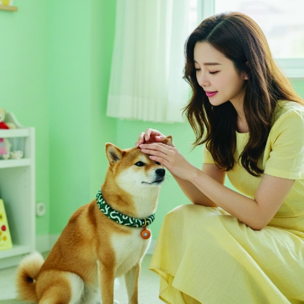 페오펫몰,[댕캉스특가] 예보들 시바견목걸이 강아지방울목걸이 강아지산책목줄 강아지악세사리 강아지인식표 반려동물산책 고양이방울목걸이