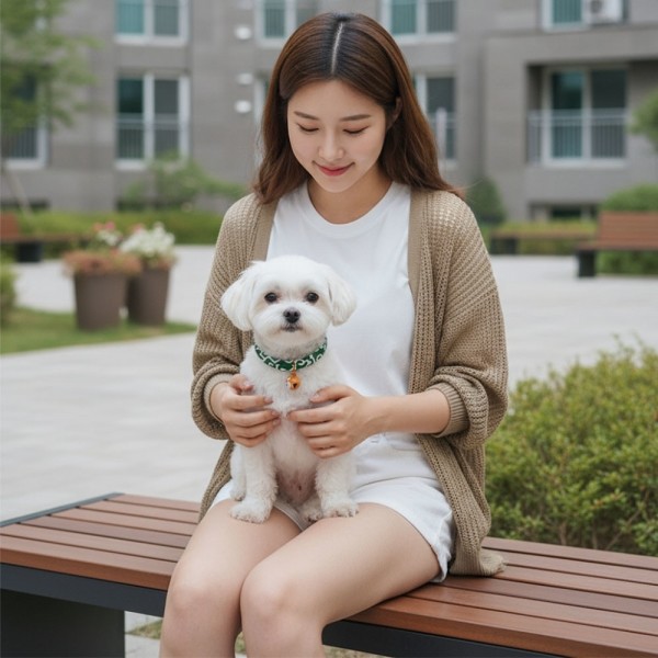 페오펫몰,[따스한특가] 예보들 시바견목걸이 강아지방울목걸이 강아지산책목줄 강아지악세사리 강아지인식표 반려동물산책 고양이방울목걸이