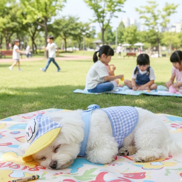 페오펫몰,예보들 새끼 강아지 여름 하네스 고양이하네스 HARNESS 개목줄