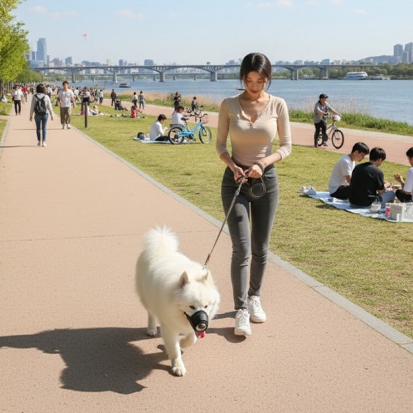 페오펫몰,예보들 강아지 투명입마개 짖음방지기 대형견입마개 소형견입마개