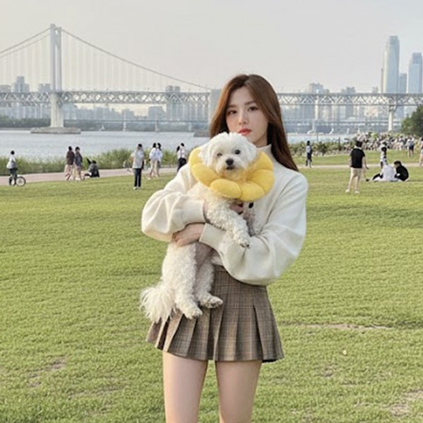 페오펫몰,예보들 고양이넥카라 대형견넥카라 강아지넥쿠션 강아지목보호대