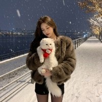 [새해특가] 예보들 강아지 고양이 니트 목도리