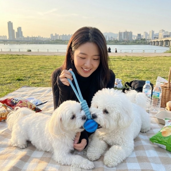 [예보들][설날특가] 강아지 치석제거 터그놀이 장난감