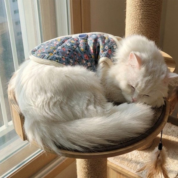 페오펫몰,하네스 필요없는 강아지 누빔 조끼 강아지 패딩 조끼 하네스 일체형 퀼팅 겨울 옷 누빔 산책용 꽃무늬 소형견 중형견