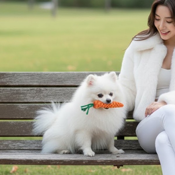 페오펫몰,튼튼한 면로프 강아지 노즈워크 당근 장난감 치석제거 터그놀이