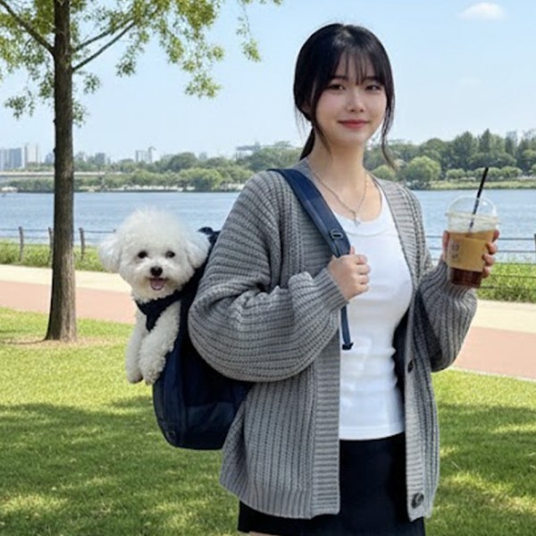 페오펫몰,[예보들][꽃길특가]  강아지이동가방 고양이이동장 강아지캐리어 고양이이동가방 강아지빽팩 고양이백팩 강아지이동장 고양이캐리어