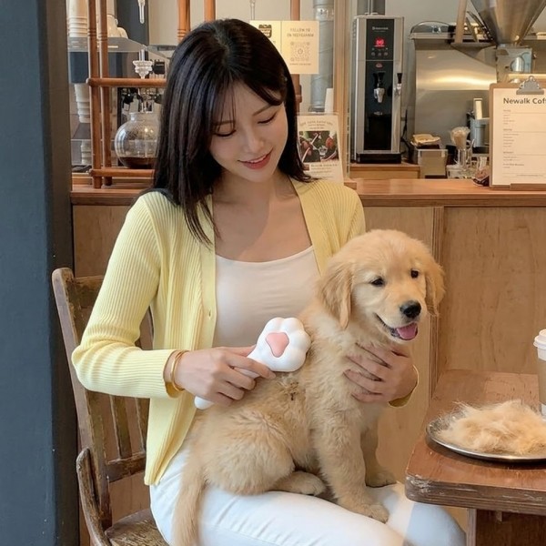 페오펫몰,예보들 강아지 고양이 브러쉬 강아지 털 빗 고양이 털 빗 죽은털 관리