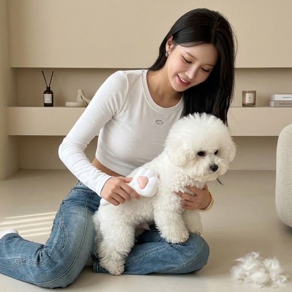 페오펫몰,예보들 강아지 고양이 브러쉬 강아지 털 빗 고양이 털 빗 죽은털 관리