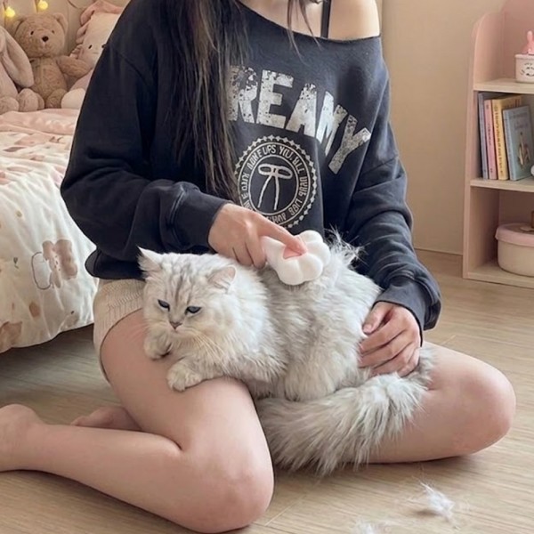페오펫몰,예보들 강아지 고양이 브러쉬 강아지 털 빗 고양이 털 빗 죽은털 관리