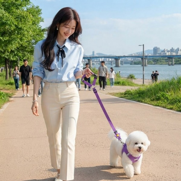 페오펫몰,[예보들] 프리미엄 플라워 2-in-1 강아지 차량용 안전벨트 및 산책 리드줄 세트