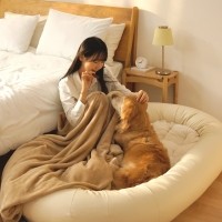 [핫썸머특가]펫투데이 댕베드 강아지 초대형 범퍼 침대 방석 하우스 집 200x115cm