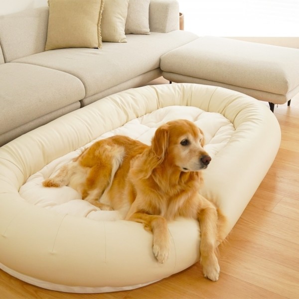 페오펫몰,[핫썸머특가]펫투데이 댕베드 강아지 초대형 범퍼 침대 방석 하우스 집 200x115cm