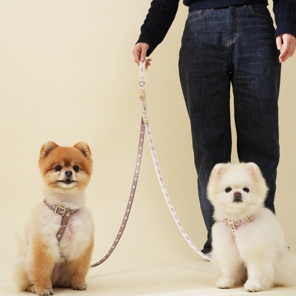 페오펫몰,[힛찌] 패턴 강아지 트윈줄 두마리 리드줄 꼬이지 않는 일체형 회전고리 다견 더블리드줄
