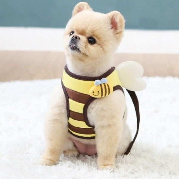 페오펫몰,[패션독]꿀벌하네스,강아지산책,강아지하네스,강아지목줄,강아지리드줄,애견하네스,하네스,목줄,리드줄,이츠독