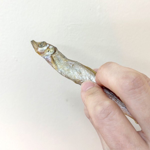 페오펫몰,네이처펫 동결건조 열빙어 210g